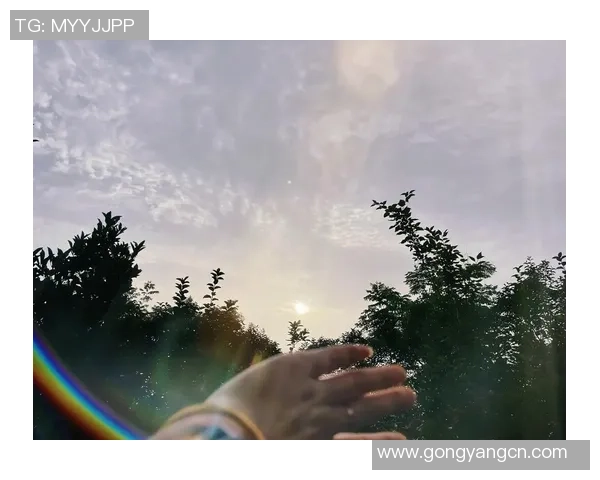 周娜的飞盘人生：在深度对话中探索她的热爱与坚持