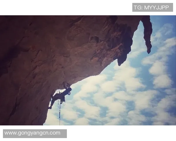 攀岩爱好者必看：挑选最佳防护垫的全面指南与推荐