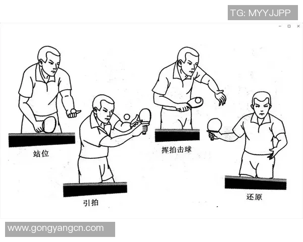 杭州乒乓球队反击战术解析与实战应用探讨