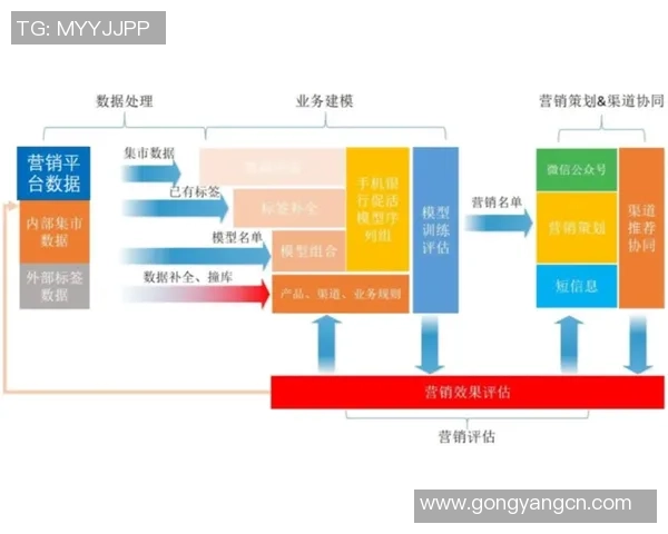 杭州飞盘队运营策略深度解析与发展前景展望 杭州飞盘队运营策略深度解析与发展前景展望